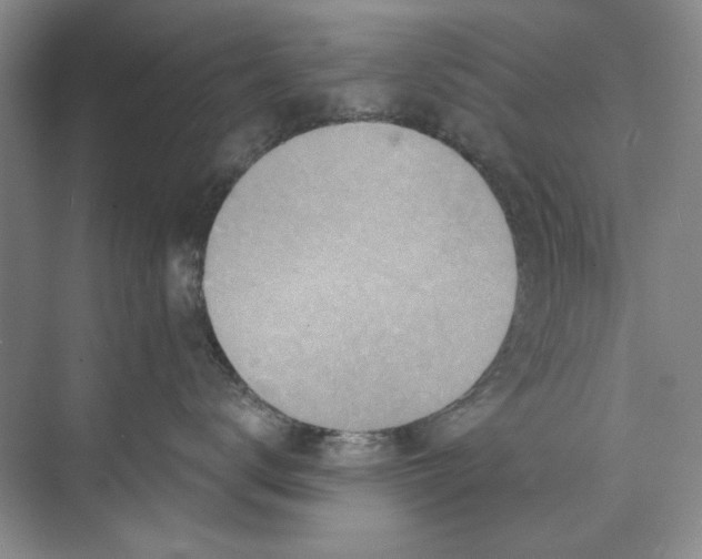 X0000073830672200608311910