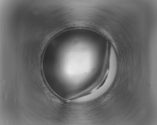 X0000073830673200608311909