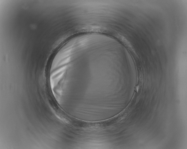 X0000073830674200608311909