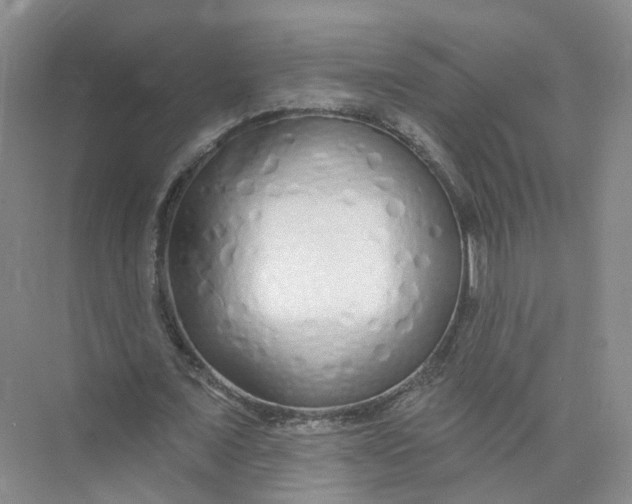 X0000073830675200608311909