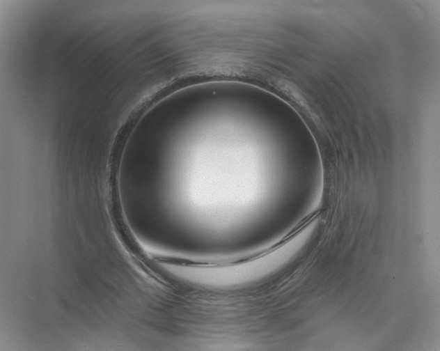 X0000073830677200608311909