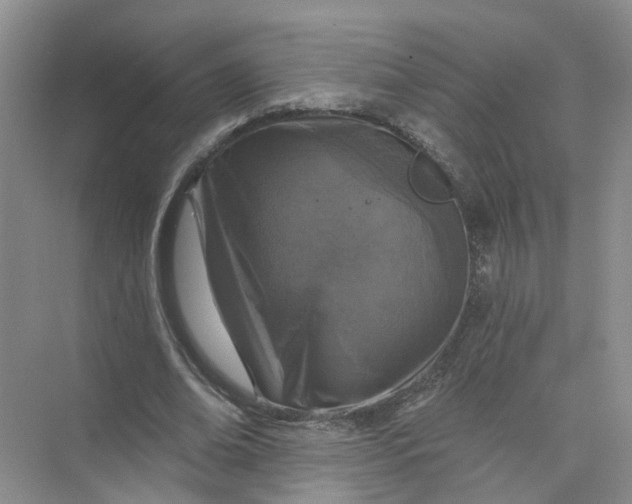 X0000073830678200608311909