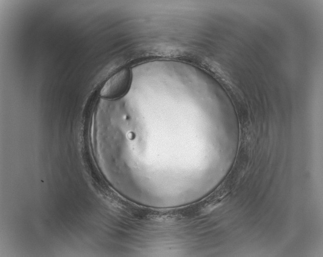 X0000073830679200608311909