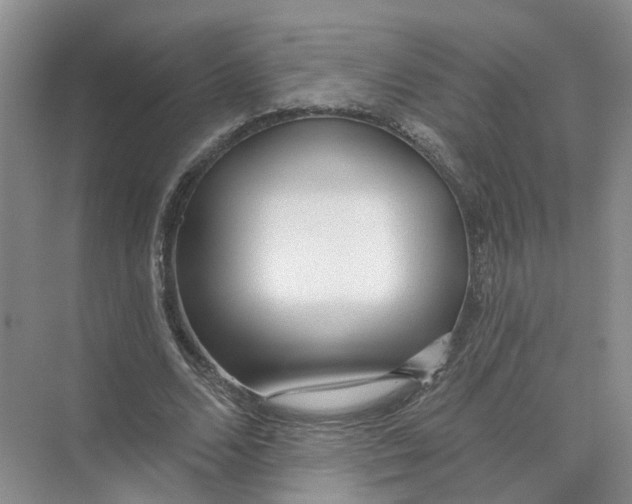 X0000073830680200608311909