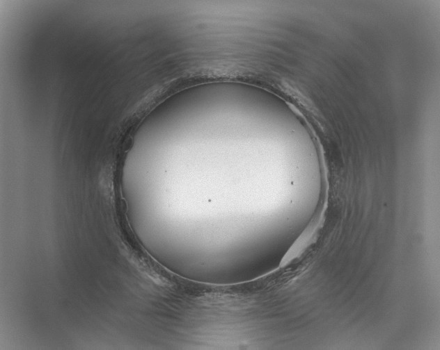 X0000073830681200608311909