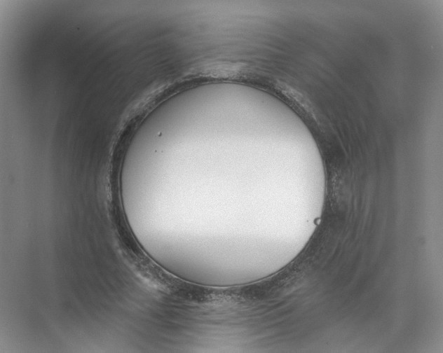 X0000073830682200608311909