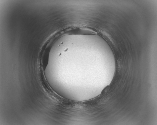 X0000073830684200608311909