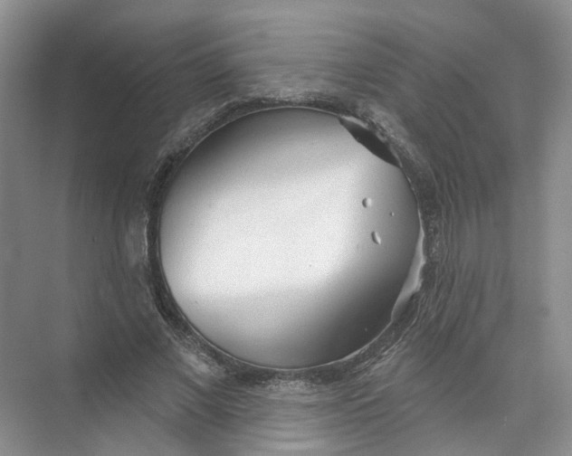 X0000073830685200608311909