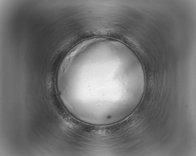 X0000073830687200608311909