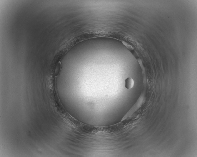 X0000073830689200608311909