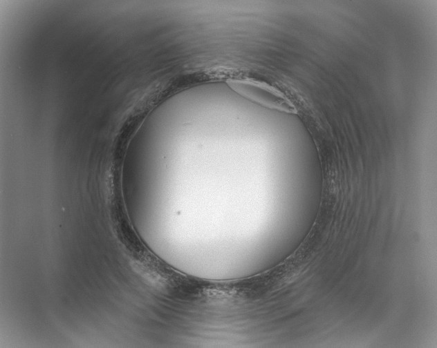 X0000073830690200608311909