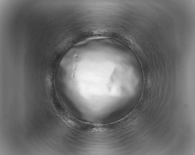 X0000073830691200608311909