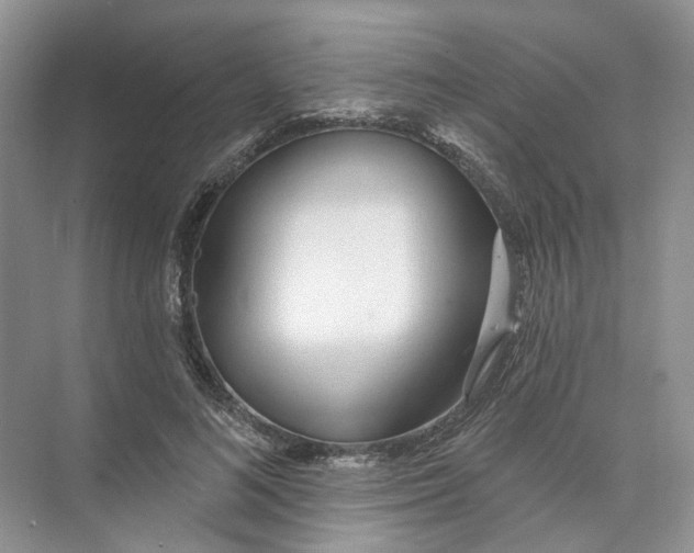 X0000073830692200608311909