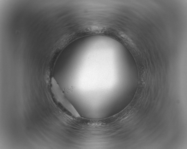 X0000073830693200608311909