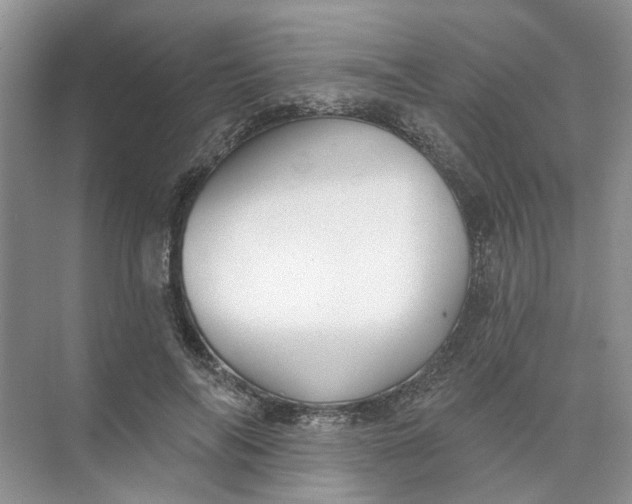 X0000073830694200608311909