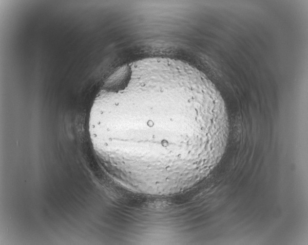 X0000073830695200608311909