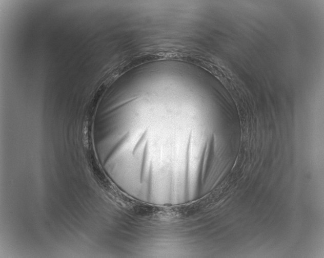 X0000073830696200608311909