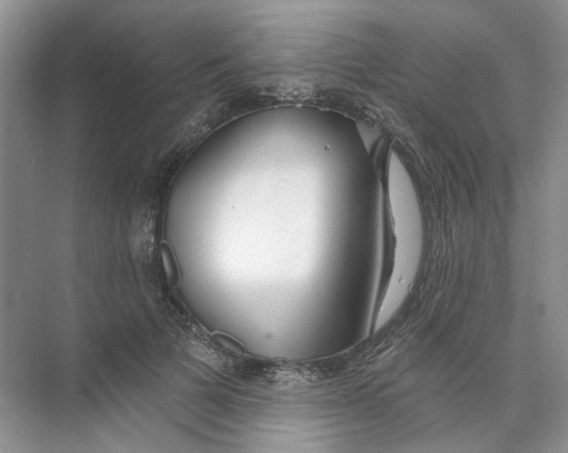 X0000073830697200608311909