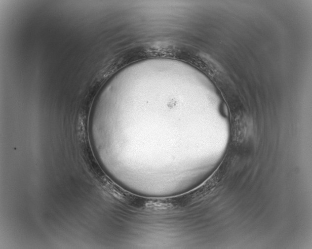 X0000073830699200608311909