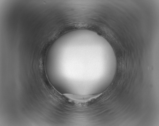 X0000073830700200608311909