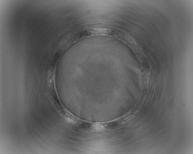 X0000073830701200608311909