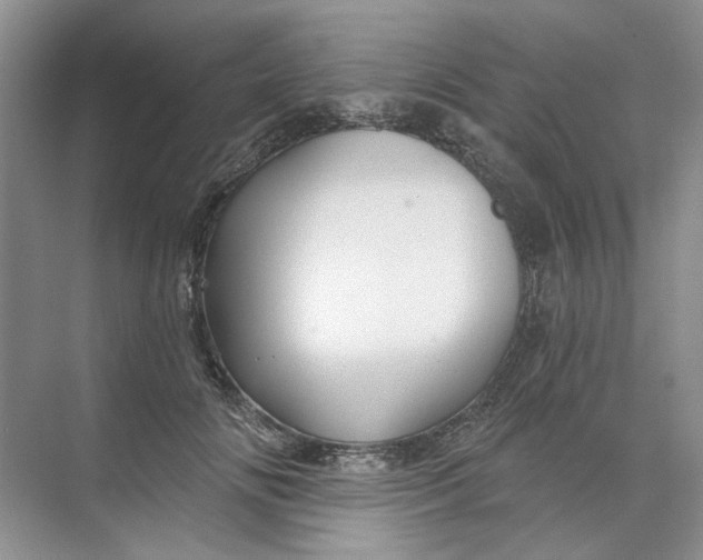 X0000073830702200608311909