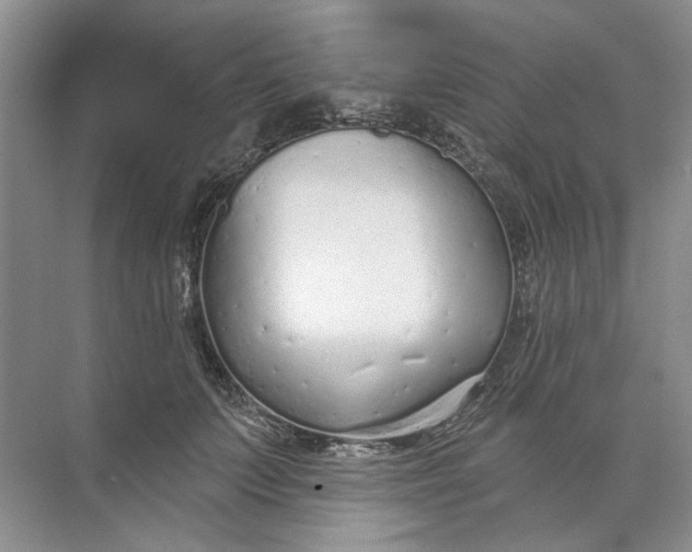 X0000073830703200608311909