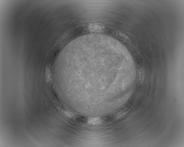 X0000073830705200608311909