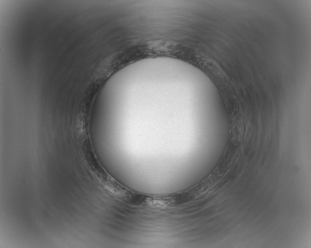 X0000073830706200608311909