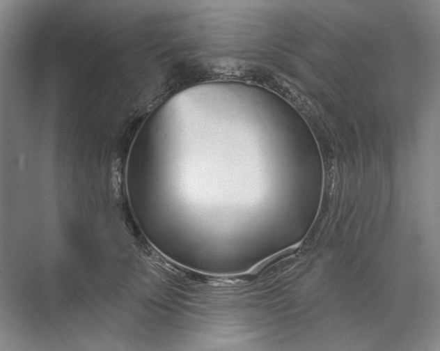 X0000073830707200608311909