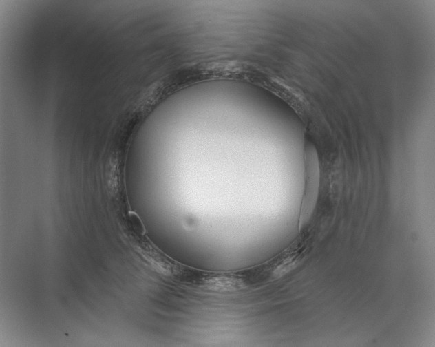 X0000073830708200608311909