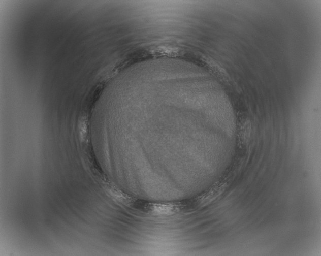 X0000073830709200608311909