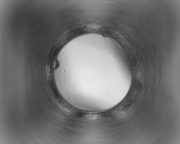 X0000073830711200608311909