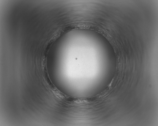 X0000073830712200608311909