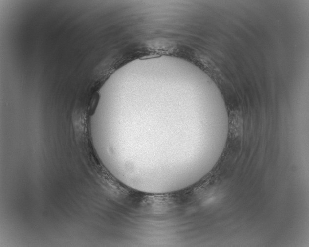 X0000073830713200608311908