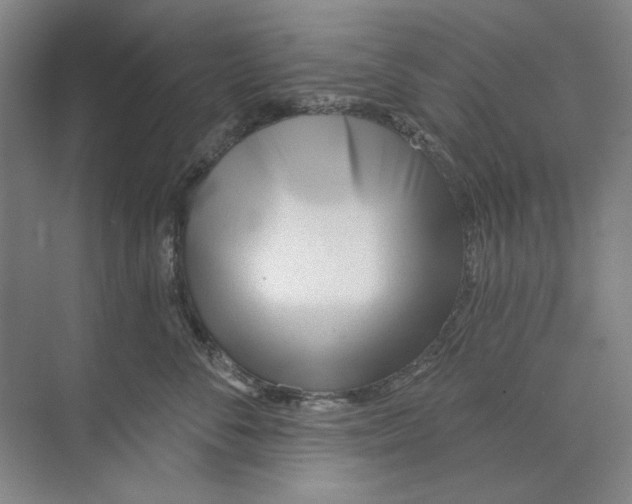 X0000073830716200608311908