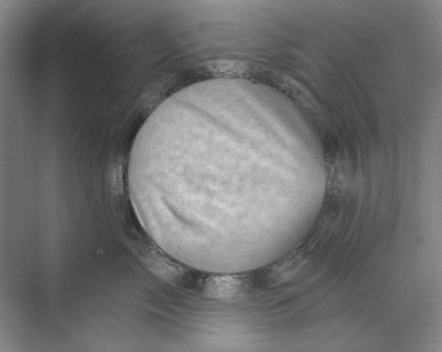 X0000073830717200608311908