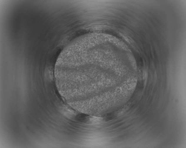 X0000073830718200608311908