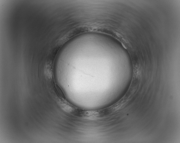 X0000073830719200608311908