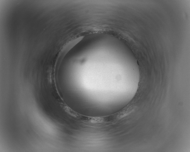 X0000073830720200608311908