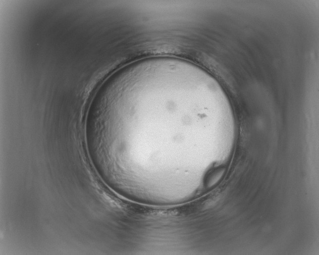 X0000073830721200608311908