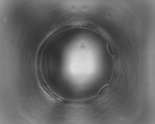 X0000073830722200608311908