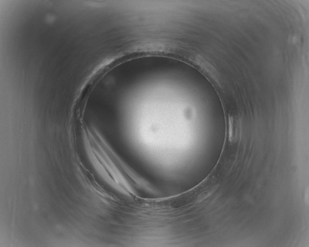 X0000073830723200608311908