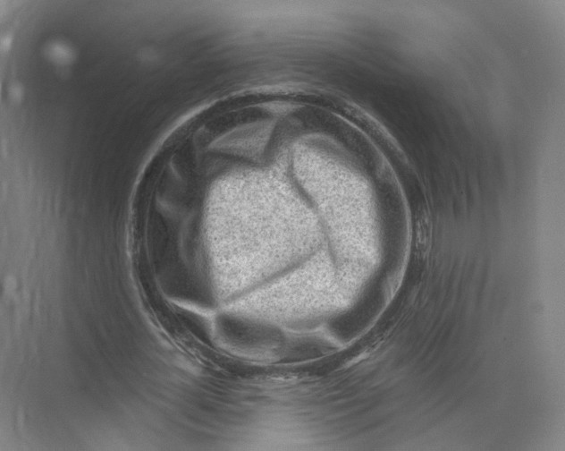 X0000073830724200608311908