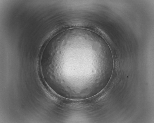 X0000073830725200608311908