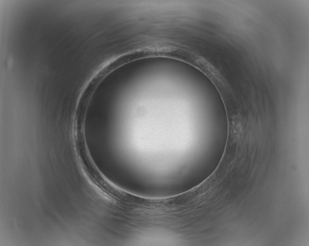 X0000073830726200608311908