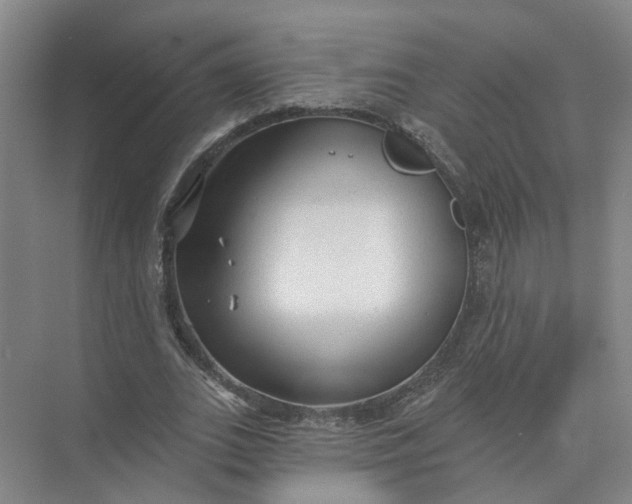 X0000073830727200608311908