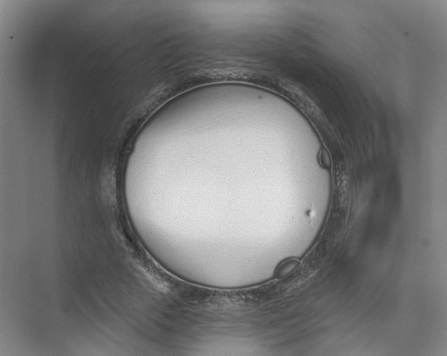 X0000073830729200608311908