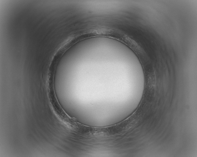 X0000073830730200608311908