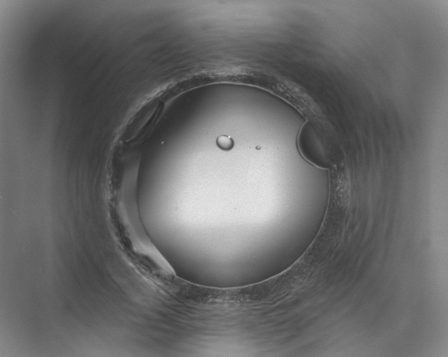 X0000073830732200608311908